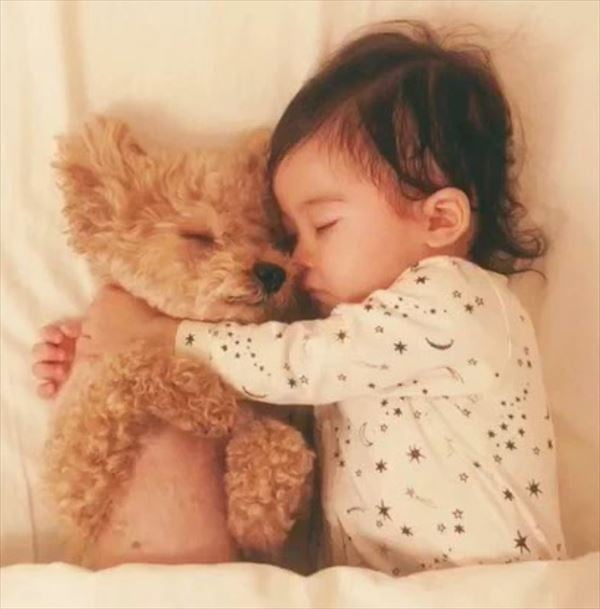 摜񋟁F䂸i@mie.yzcj