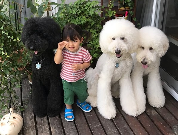 摜񋟁F܂˂itamanegi.qoo.rikuj