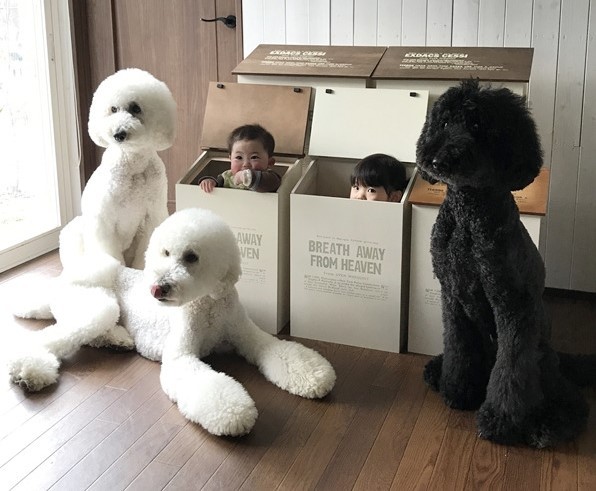 摜񋟁F܂˂itamanegi.qoo.rikuj