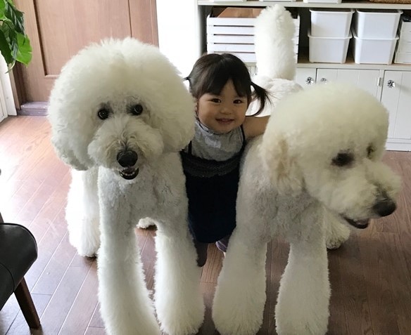 摜񋟁F܂˂itamanegi.qoo.rikuj