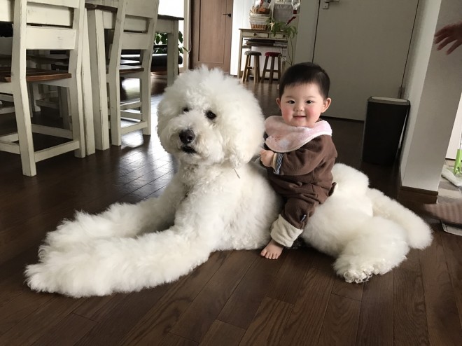 摜񋟁F܂˂itamanegi.qoo.rikuj