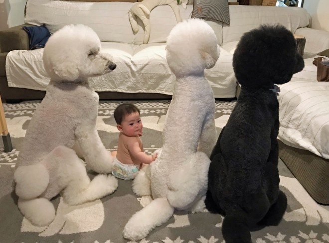 摜񋟁F܂˂itamanegi.qoo.rikuj