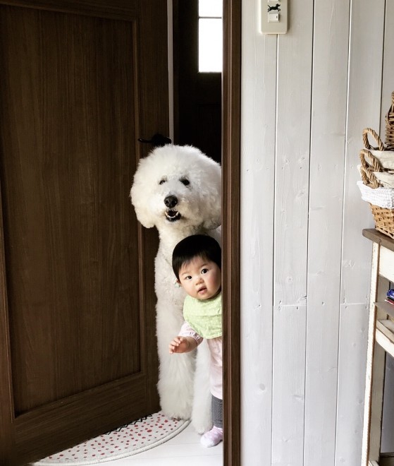 摜񋟁F܂˂itamanegi.qoo.rikuj