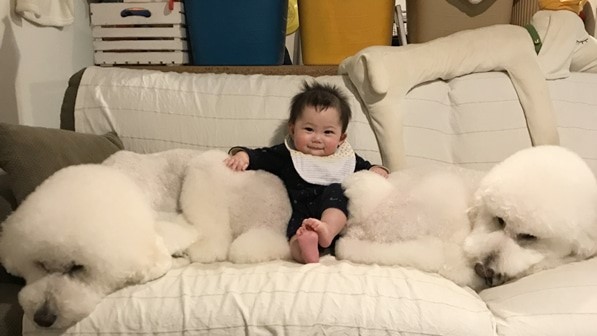 摜񋟁F܂˂itamanegi.qoo.rikuj