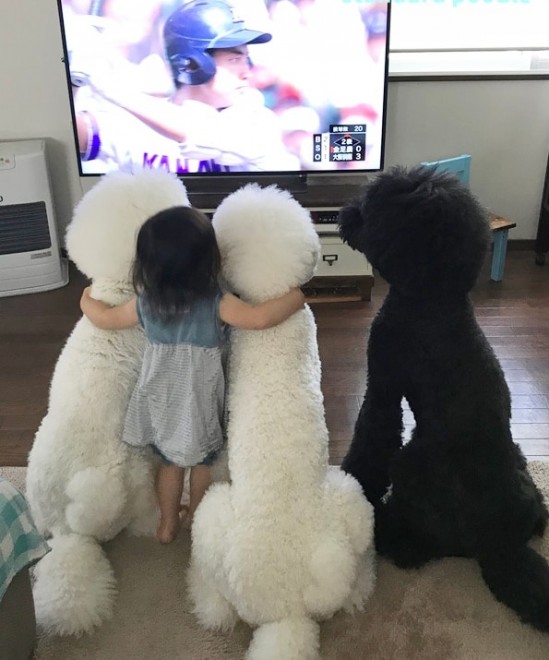 摜񋟁F܂˂itamanegi.qoo.rikuj