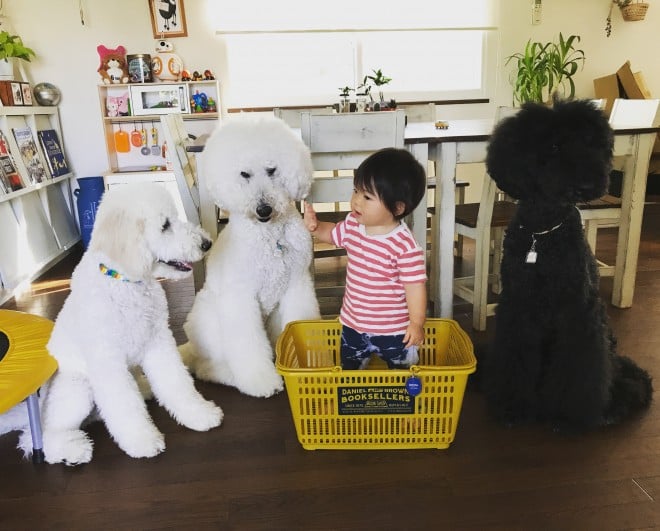 摜񋟁F܂˂itamanegi.qoo.rikuj