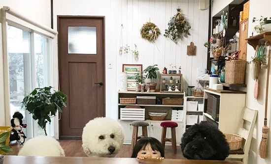 摜񋟁F܂˂itamanegi.qoo.rikuj