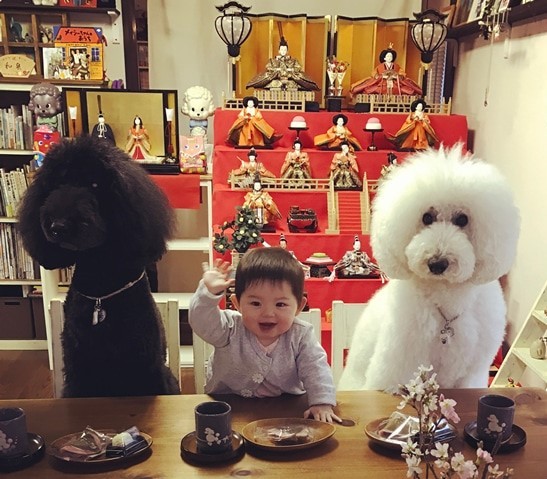 摜񋟁F܂˂itamanegi.qoo.rikuj