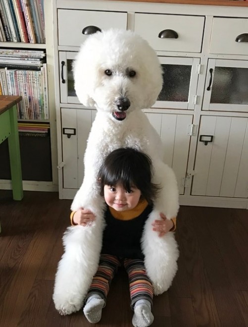 摜񋟁F܂˂itamanegi.qoo.rikuj