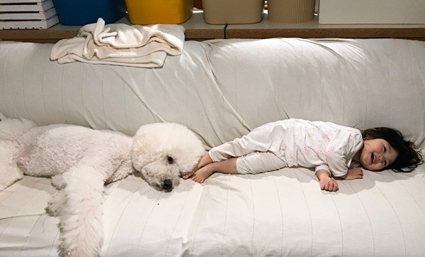 摜񋟁F܂˂itamanegi.qoo.rikuj