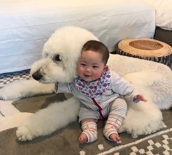 摜񋟁F܂˂itamanegi.qoo.rikuj