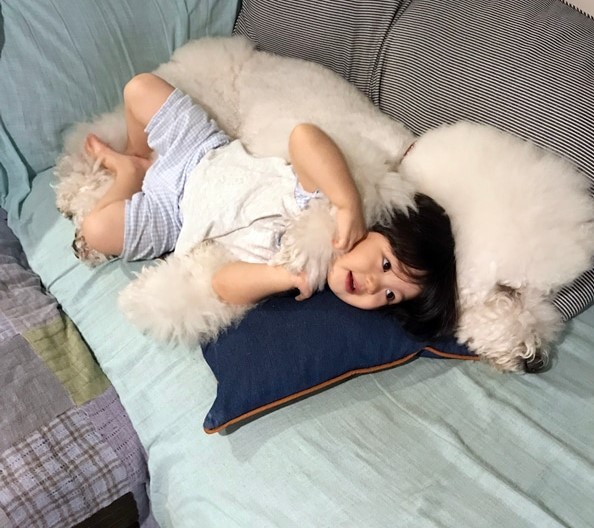 摜񋟁F܂˂itamanegi.qoo.rikuj