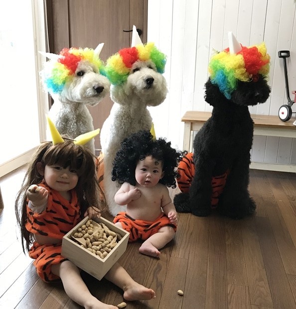 摜񋟁F܂˂itamanegi.qoo.rikuj