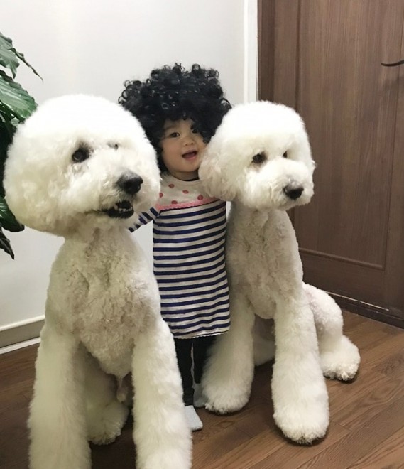 摜񋟁F܂˂itamanegi.qoo.rikuj