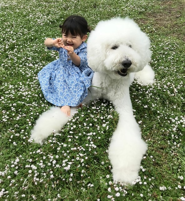 摜񋟁F܂˂itamanegi.qoo.rikuj