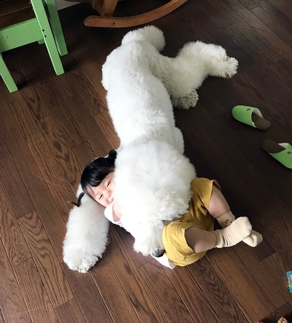 摜񋟁F܂˂itamanegi.qoo.rikuj