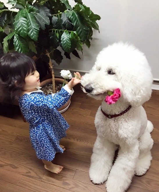 摜񋟁F܂˂itamanegi.qoo.rikuj