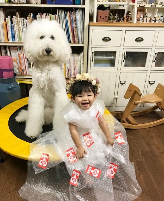 摜񋟁F܂˂itamanegi.qoo.rikuj