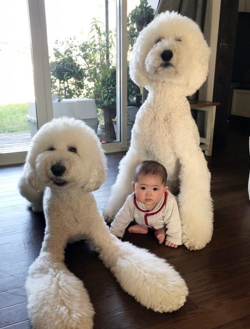 摜񋟁F܂˂itamanegi.qoo.rikuj