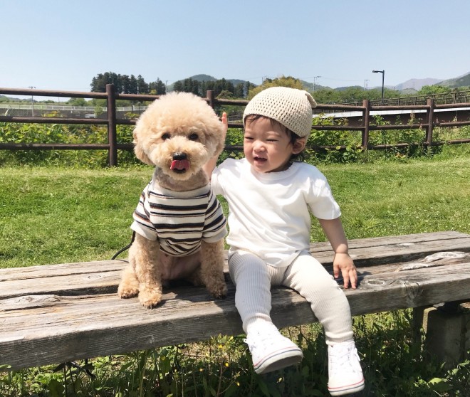 摜񋟁F䂸i@mie.yzcj