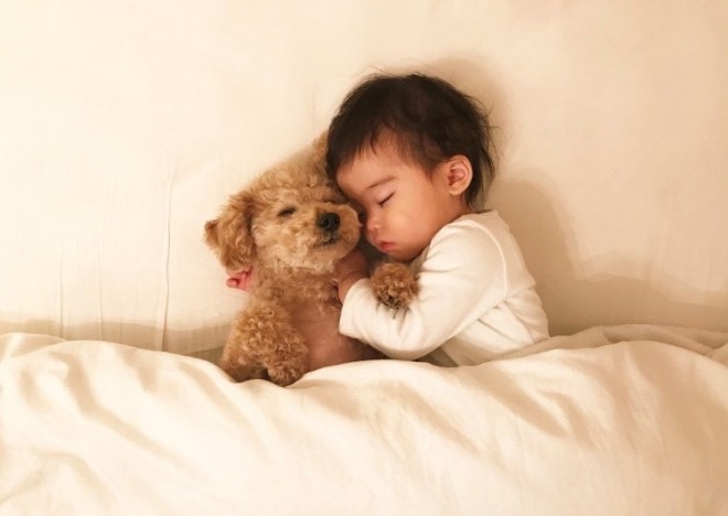 摜񋟁F䂸i@mie.yzcj