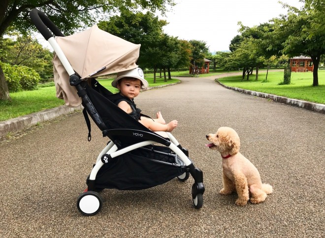 摜񋟁F䂸i@mie.yzcj