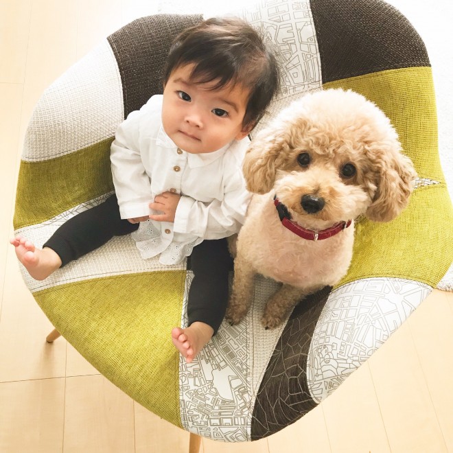 摜񋟁F䂸i@mie.yzcj