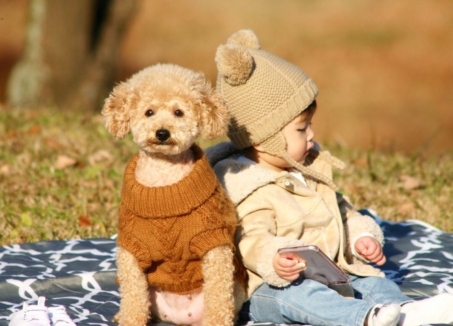 摜񋟁F䂸i@mie.yzcj