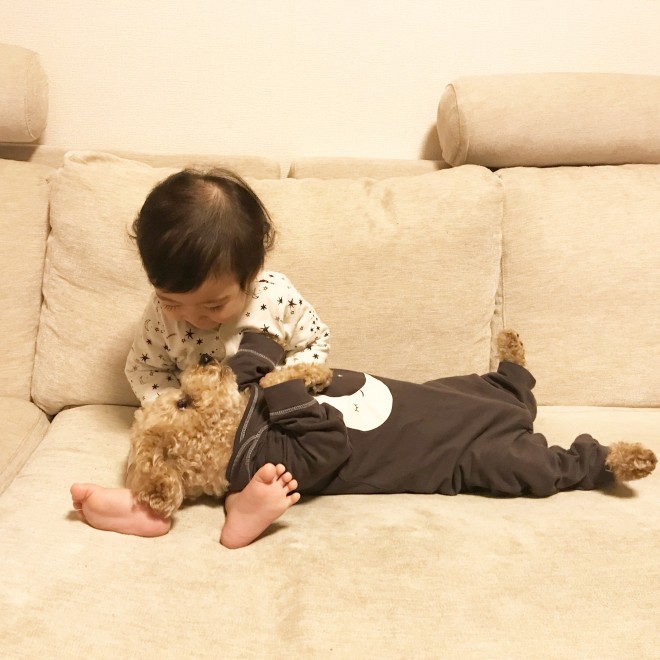 摜񋟁F䂸i@mie.yzcj