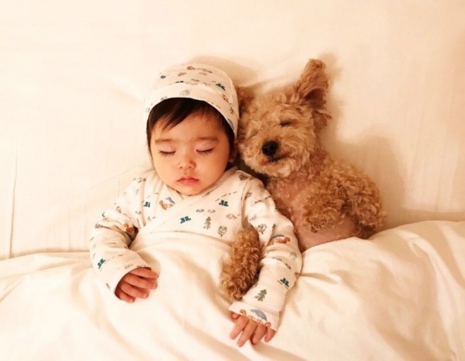 摜񋟁F䂸i@mie.yzcj