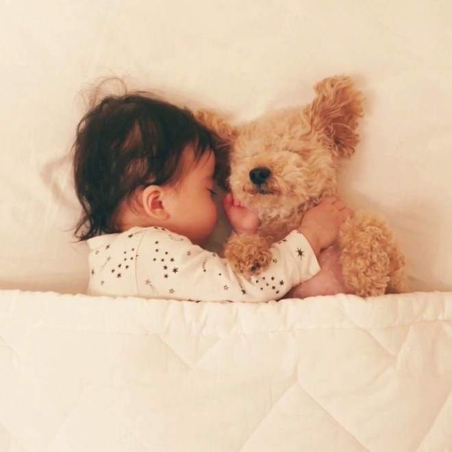 摜񋟁F䂸i@mie.yzcj