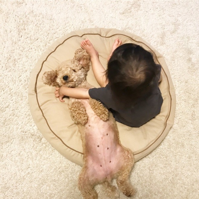 摜񋟁F   i@saki_____sukij