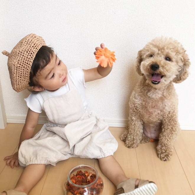 摜񋟁F   i@saki_____sukij