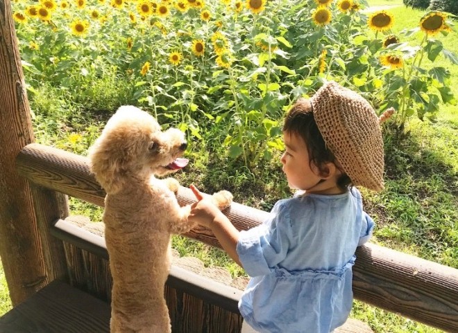 摜񋟁F   i@saki_____sukij