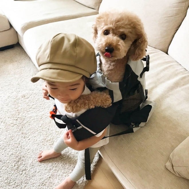 摜񋟁F   i@saki_____sukij