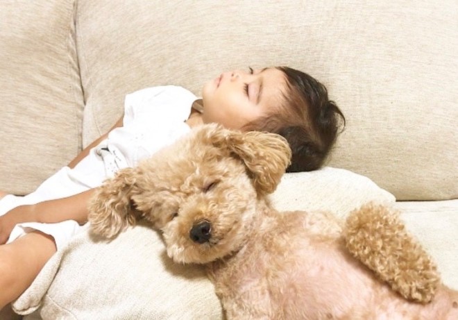 摜񋟁F   i@saki_____sukij