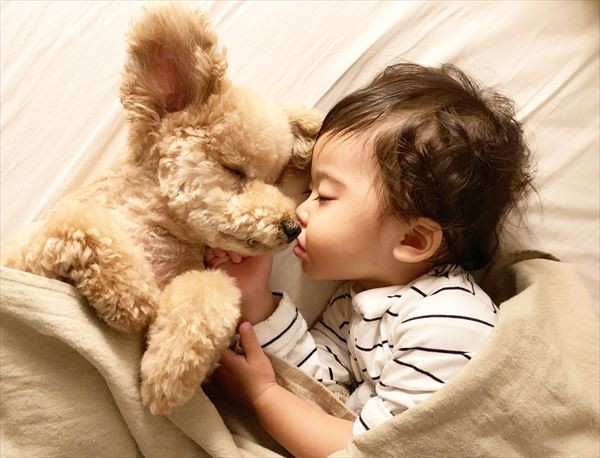 摜񋟁F䂸i@mie.yzcj