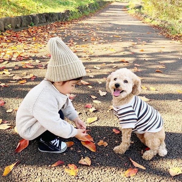 摜񋟁F䂸i@mie.yzcj