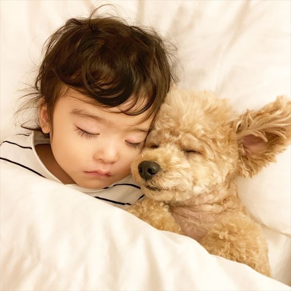 摜񋟁F䂸i@mie.yzcj