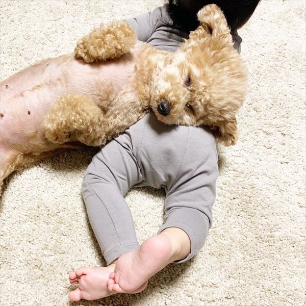 摜񋟁F䂸i@mie.yzcj