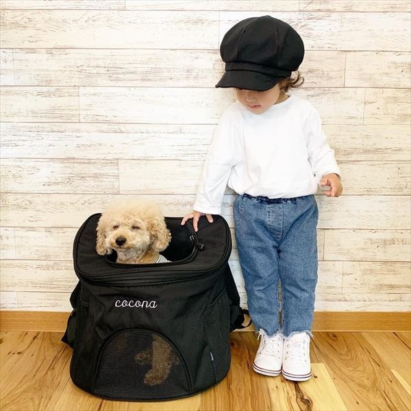 摜񋟁F䂸i@mie.yzcj