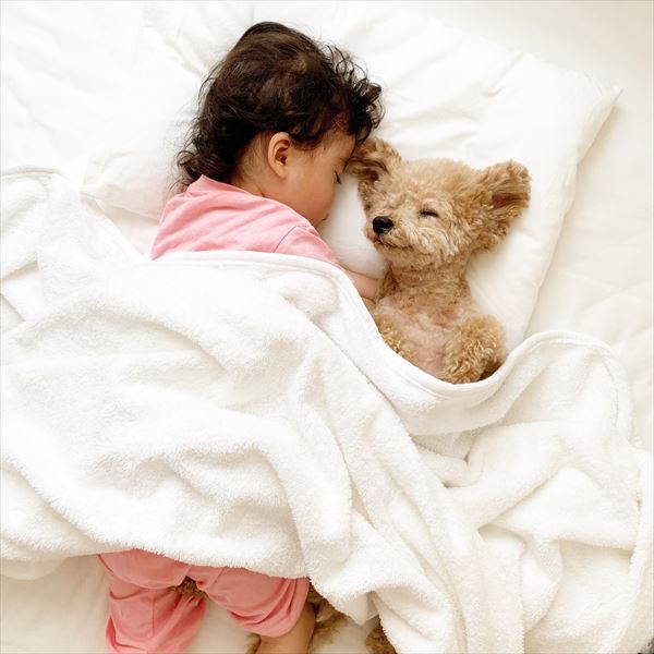 摜񋟁F䂸i@mie.yzcj