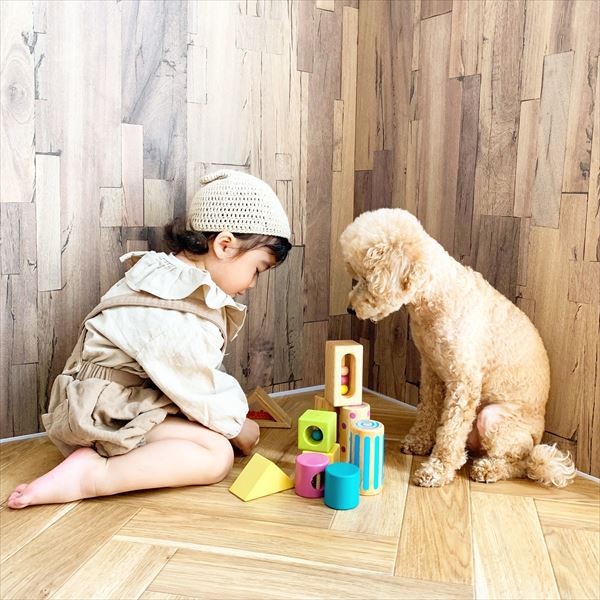 摜񋟁F䂸i@mie.yzcj