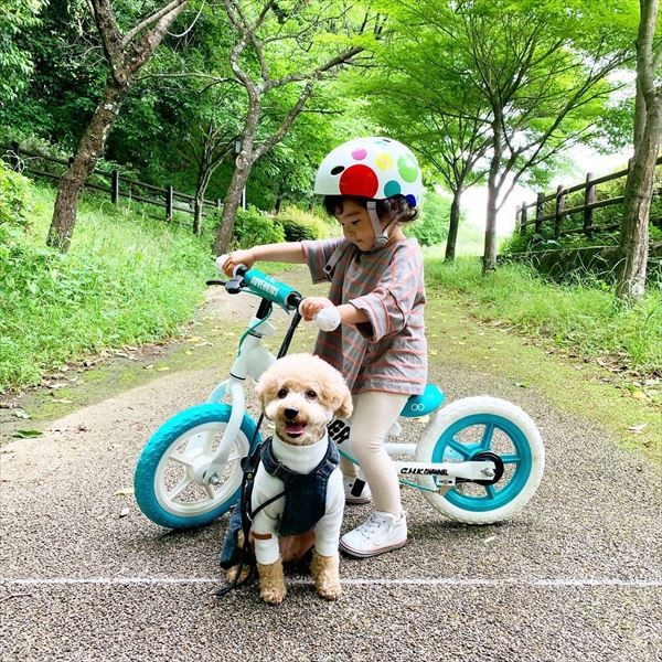 摜񋟁F䂸i@mie.yzcj