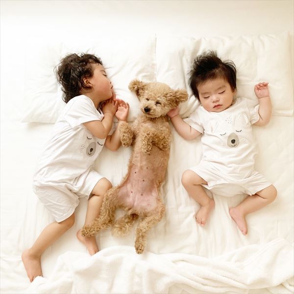 摜񋟁F䂸i@mie.yzcj