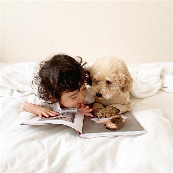 摜񋟁F䂸i@mie.yzcj