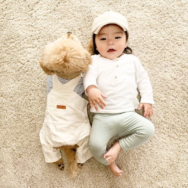 摜񋟁F䂸i@mie.yzcj