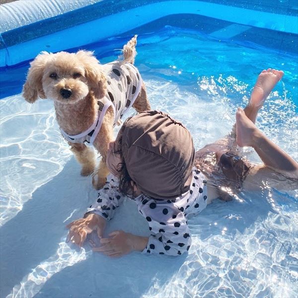 摜񋟁F䂸i@mie.yzcj