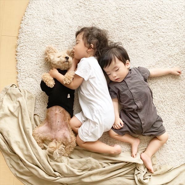 摜񋟁F䂸i@mie.yzcj