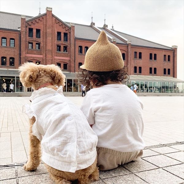 摜񋟁F䂸i@mie.yzcj